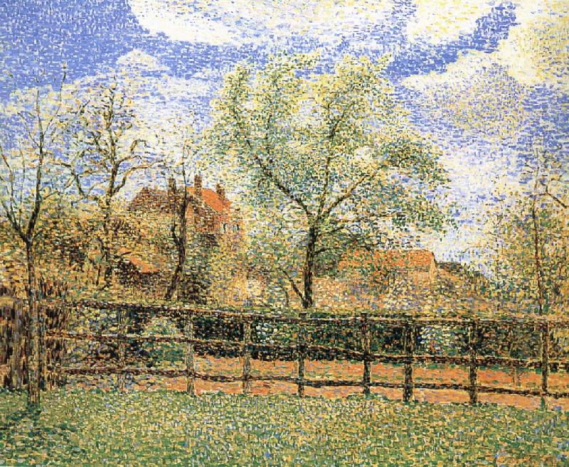 Camille Pissarro Pear trees bloom in the morning Spain oil painting art